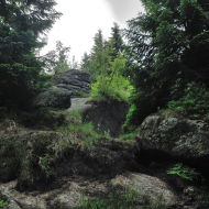 jizerske-hory_ptaci-kupy_02