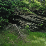 jizerske-hory_ptaci-kupy_04