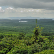 jizerske-hory_ptaci-kupy_05