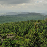 jizerske-hory_ptaci-kupy_06