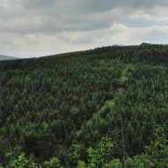 jizerske-hory_ptaci-kupy_07