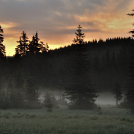 jizerske-hory_ranni-mlha_02