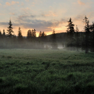 jizerske-hory_ranni-mlha_03