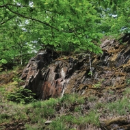 zricenina-puchart_01