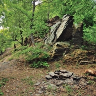 zricenina-puchart_03