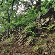 zricenina-puchart_04