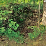 zricenina-puchart_05