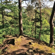zricenina-puchart_06