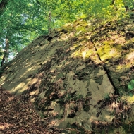 zricenina-puchart_07
