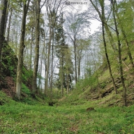 Zřícenina hradu Pyšolec