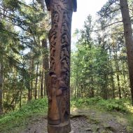 Dvylika brolių juodvarniais lakstančių |  Dvanáct bratrů, dvanáct krkavců 