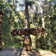 Migla | Mlha