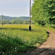 ribniki-zaloge_01