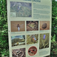 ribniki-zaloge_02