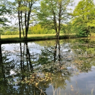 ribniki-zaloge_03