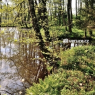 ribniki-zaloge_06