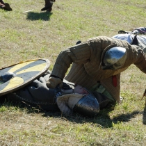 Rogar 2011