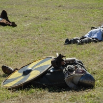 Rogar 2011
