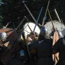 Rogar 2011