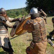 Rogar 2011