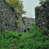 Žřícenina hradu Ronov
