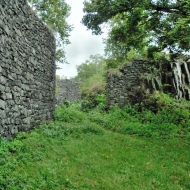 Žřícenina hradu Ronov