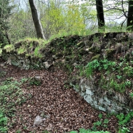 Zřícenina hradu Ronovec