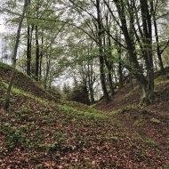 Zřícenina hradu Ronovec - příkop