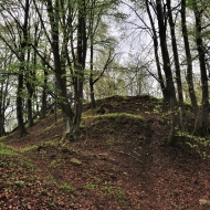 Zřícenina hradu Ronovec - příkop