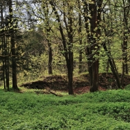 Zřícenina hradu Ronovec - příkop