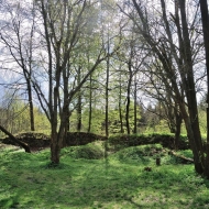 Zřícenina hradu Ronovec