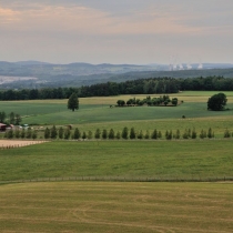 Rozhledna Heřmanice