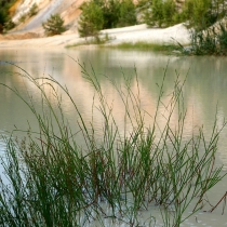Rudický lom