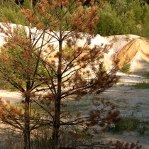 Rudický lom