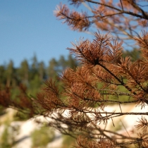Rudický lom