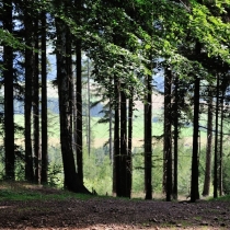 Ruprechtický Špičák (881 m.n.m.)