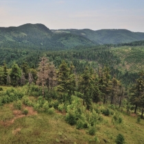 Ruprechtický Špičák (881 m.n.m.)