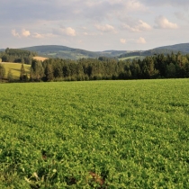 okolí Pusté Rybné