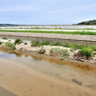 secoveljske-soline_02