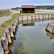 secoveljske-soline_12
