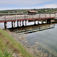 secoveljske-soline_13