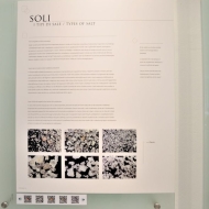 secoveljske-soline_20