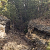 Ľupčiansky skalný hríb