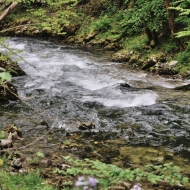 Soutěska Vintgar (Slovinsko, Triglavský národní park)