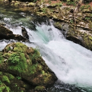 Soutěska Vintgar (Slovinsko, Triglavský národní park)