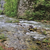 Soutěska Vintgar (Slovinsko, Triglavský národní park)