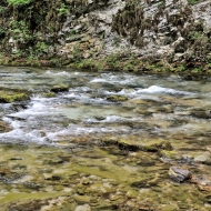 Soutěska Vintgar (Slovinsko, Triglavský národní park)