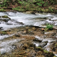 Soutěska Vintgar (Slovinsko, Triglavský národní park)