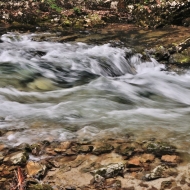 Soutěska Vintgar (Slovinsko, Triglavský národní park)