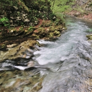 Soutěska Vintgar (Slovinsko, Triglavský národní park)